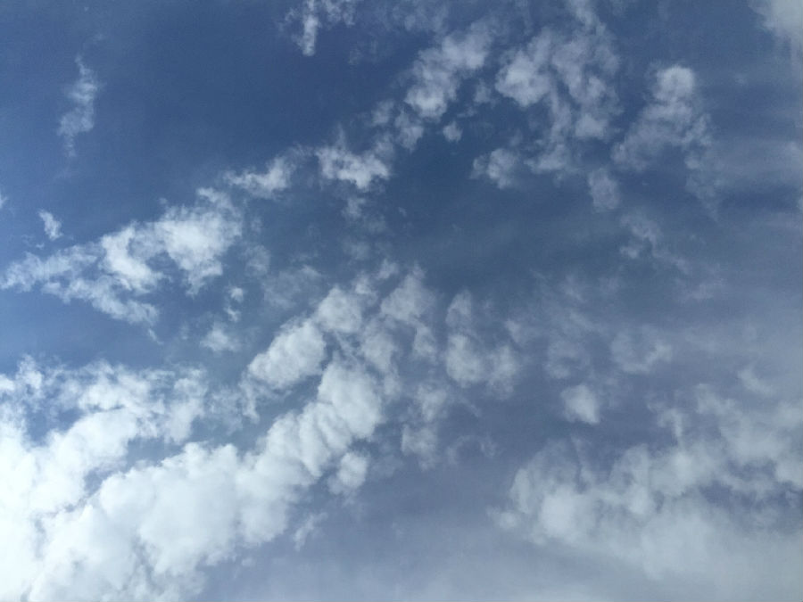 QQ图片20150706131739.jpg